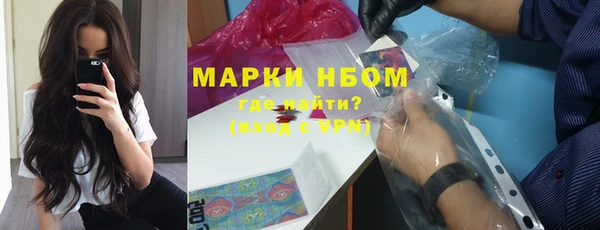 спиды Богородицк