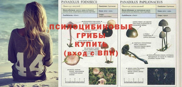спиды Богородицк