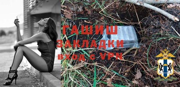 спиды Богородицк