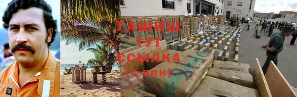 спиды Богородицк