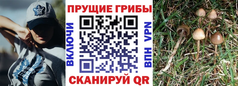 Галлюциногенные грибы MAGIC MUSHROOMS  МЕГА   Бутурлиновка 